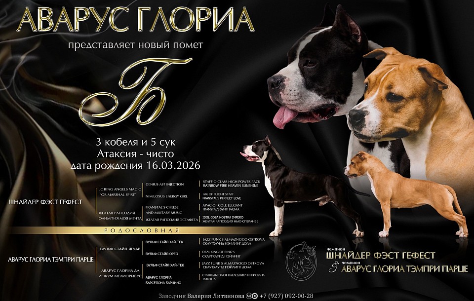 Щенки в пензе